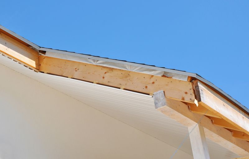 Garage Fascia Repair in Kansas City, KS